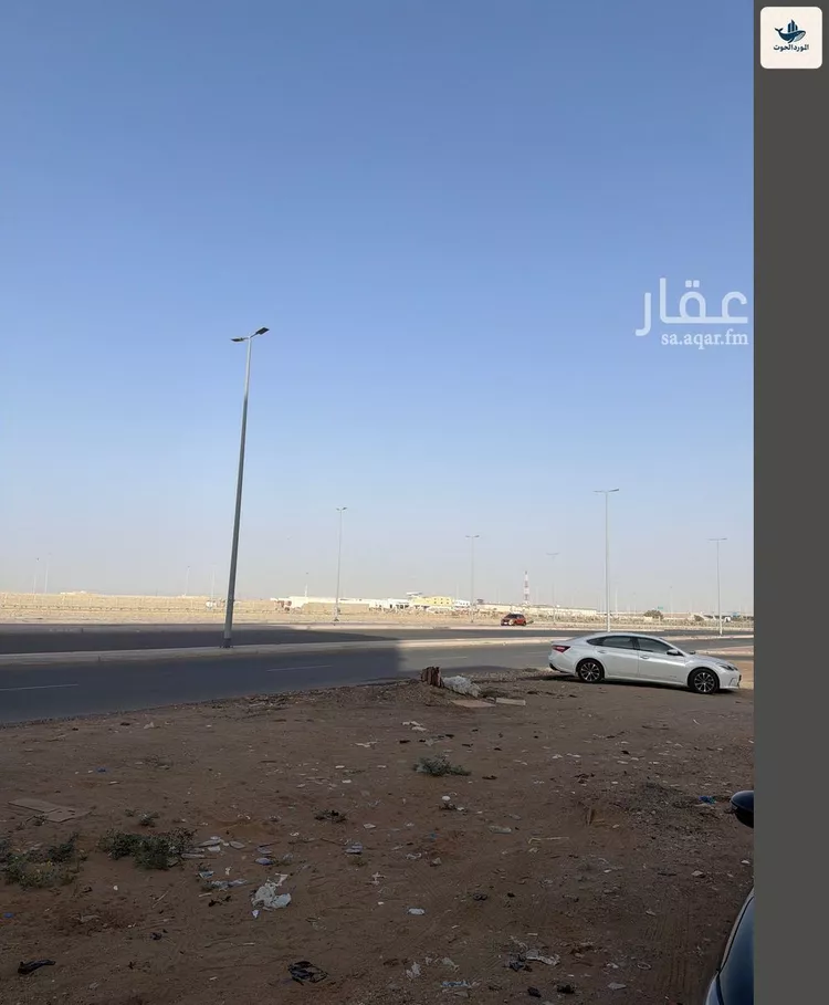 أرض للبيع في شارع محمد الفاضل الشنقيطي, حي الريان, مدينة جدة, منطقة مكة المكرمة صورة 3
