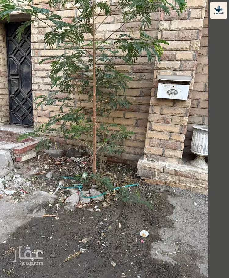 أرض للبيع في شارع العمودي, حي الزهراء, مدينة جدة, منطقة مكة المكرمة صورة 4