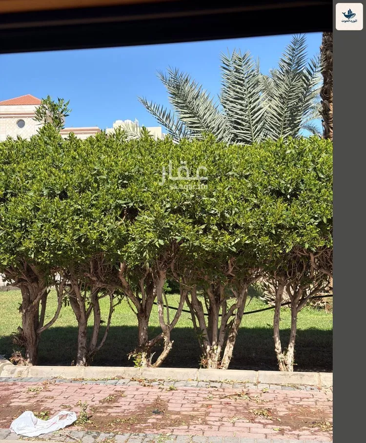 أرض للبيع في شارع ابو عبدالله الخطمي, حي النعيم, مدينة جدة, منطقة مكة المكرمة صورة 2