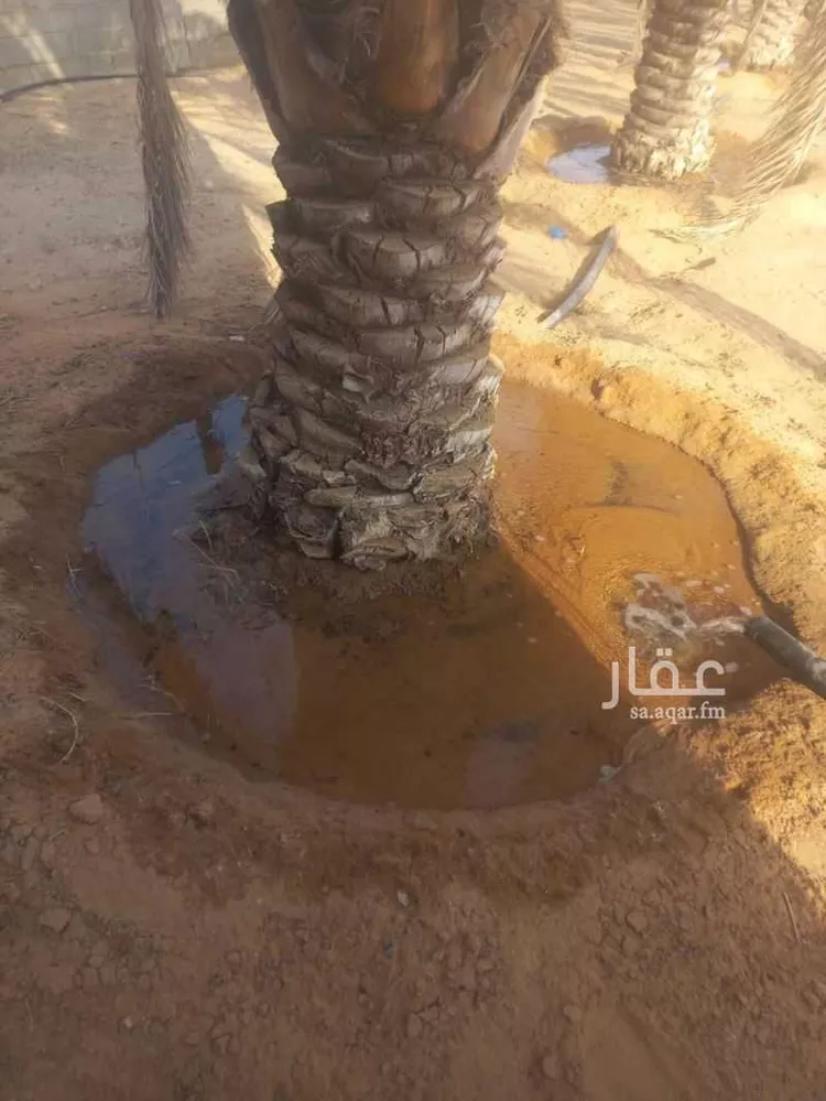 أرض للبيع في حي العريفيه, مدينة بريده, منطقة القصيم صورة 5