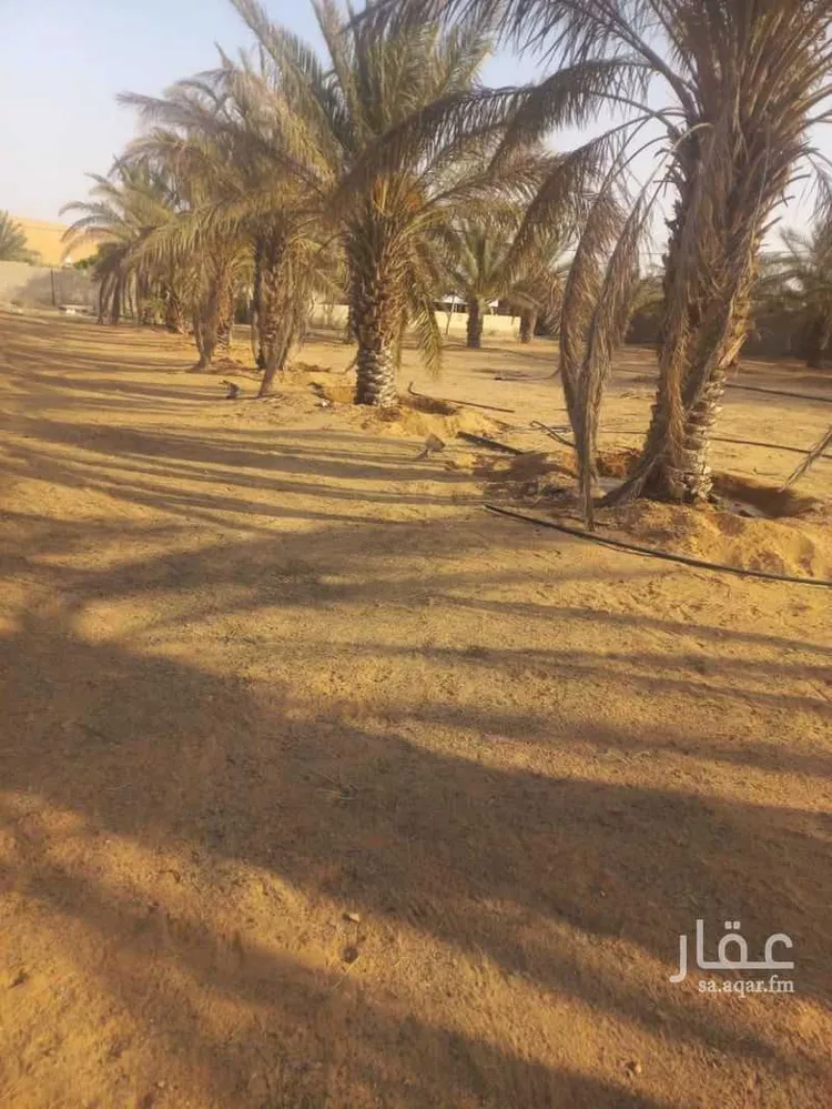 أرض للبيع في حي العريفيه, مدينة بريده, منطقة القصيم صورة 4