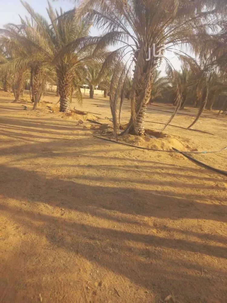 أرض للبيع في حي العريفيه, مدينة بريده, منطقة القصيم