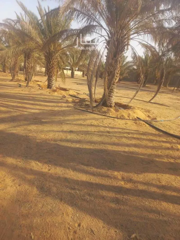 أرض للبيع في حي العريفيه, مدينة بريده, منطقة القصيم صورة 5