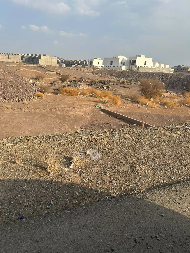 أرض للبيع في شارع مشرح بن هاعان, حي السكب, مدينة المدينة المنورة, منطقة المدينة المنورة 2