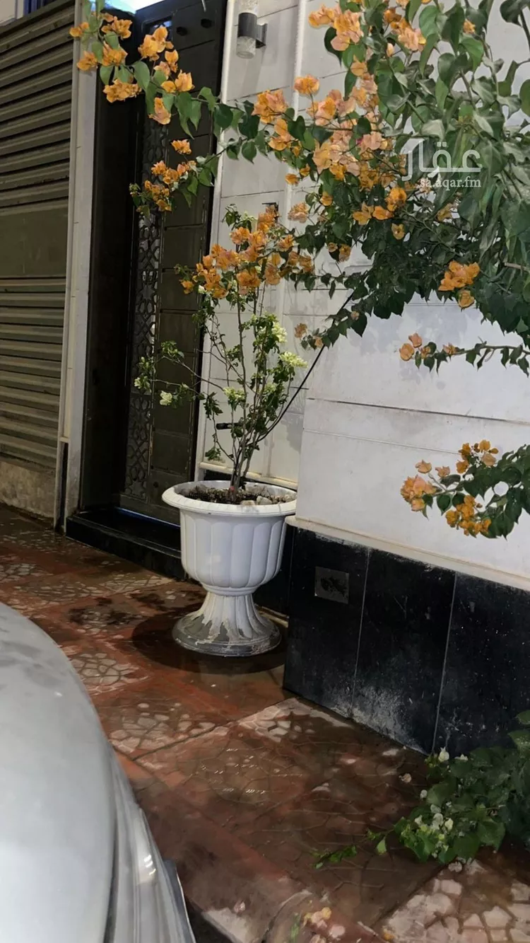 شقة للإيجار في شارع جبل المشايخ, حي القادسية, مدينة الرياض, منطقة الرياض