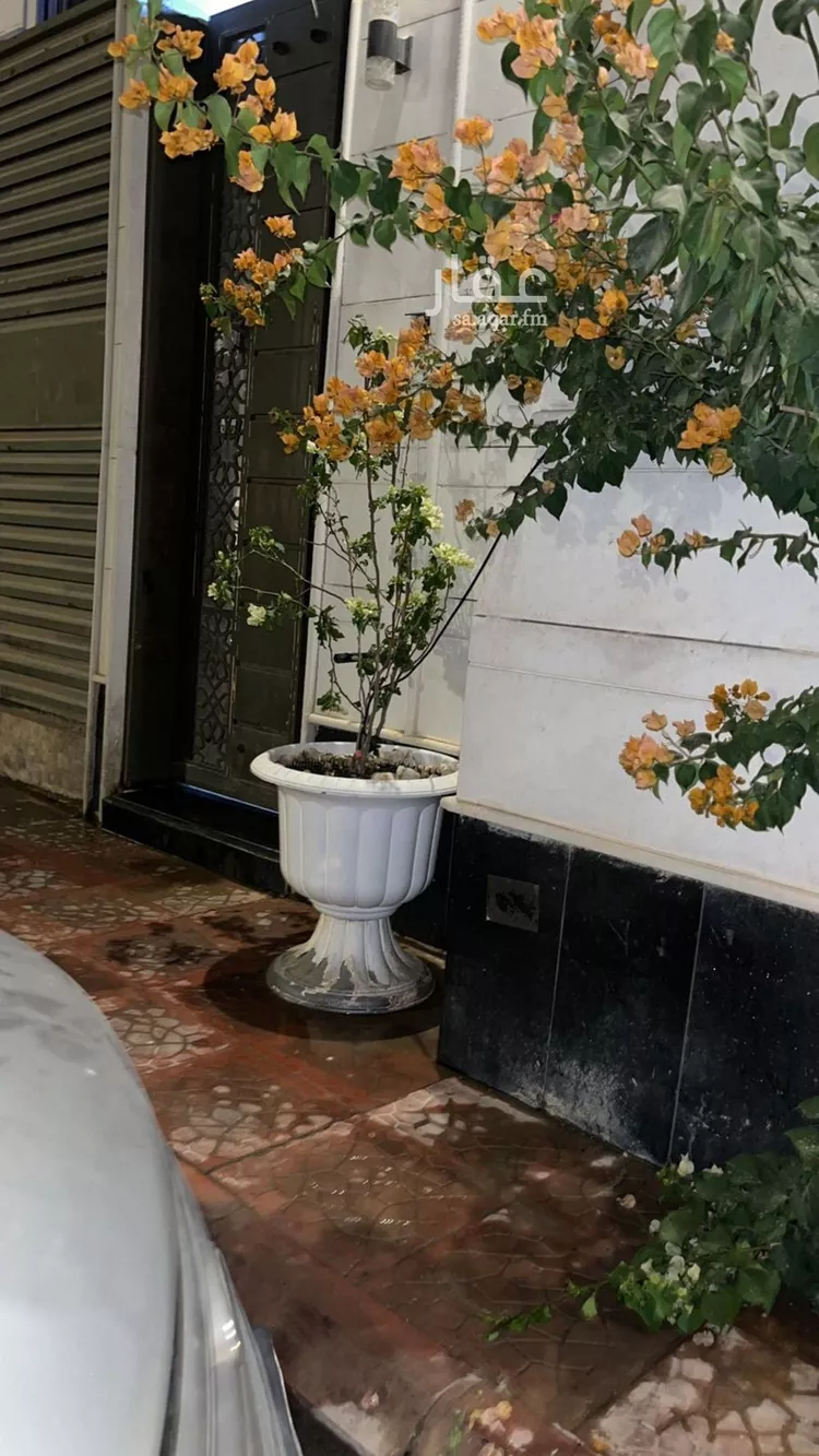 شقة للإيجار في شارع جبل المشايخ, حي القادسية, مدينة الرياض, منطقة الرياض