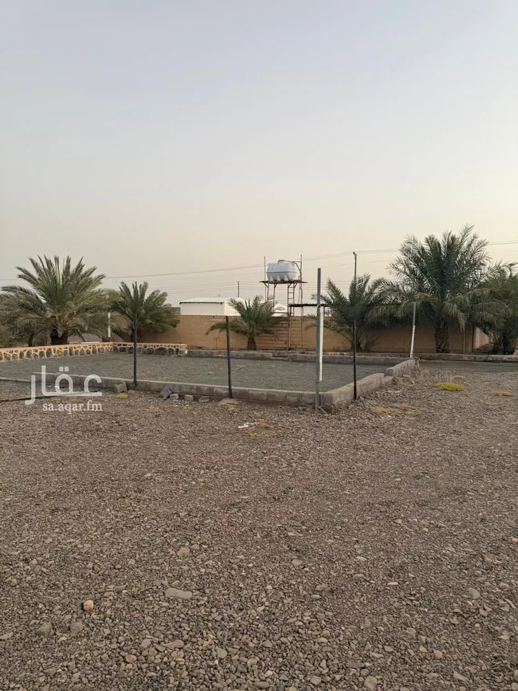 مزرعة للبيع في شارع صالح بن محمد الحسني, حي الخضراء, مدينة المدينة المنورة, منطقة المدينة المنورة صورة 3