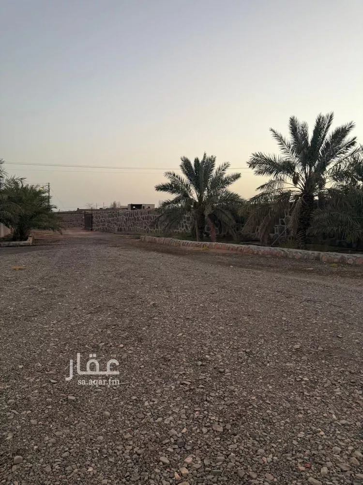 Farm for Sale in Medina Al Matar