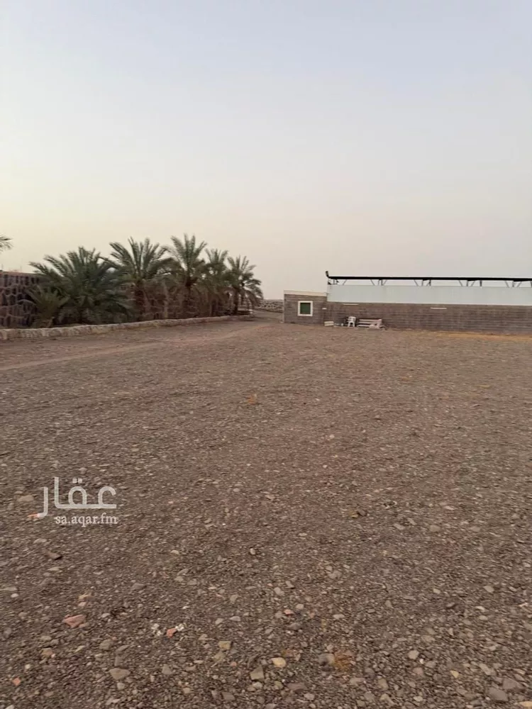 مزرعة للبيع في شارع صالح بن محمد الحسني, حي الخضراء, مدينة المدينة المنورة, منطقة المدينة المنورة صورة 4