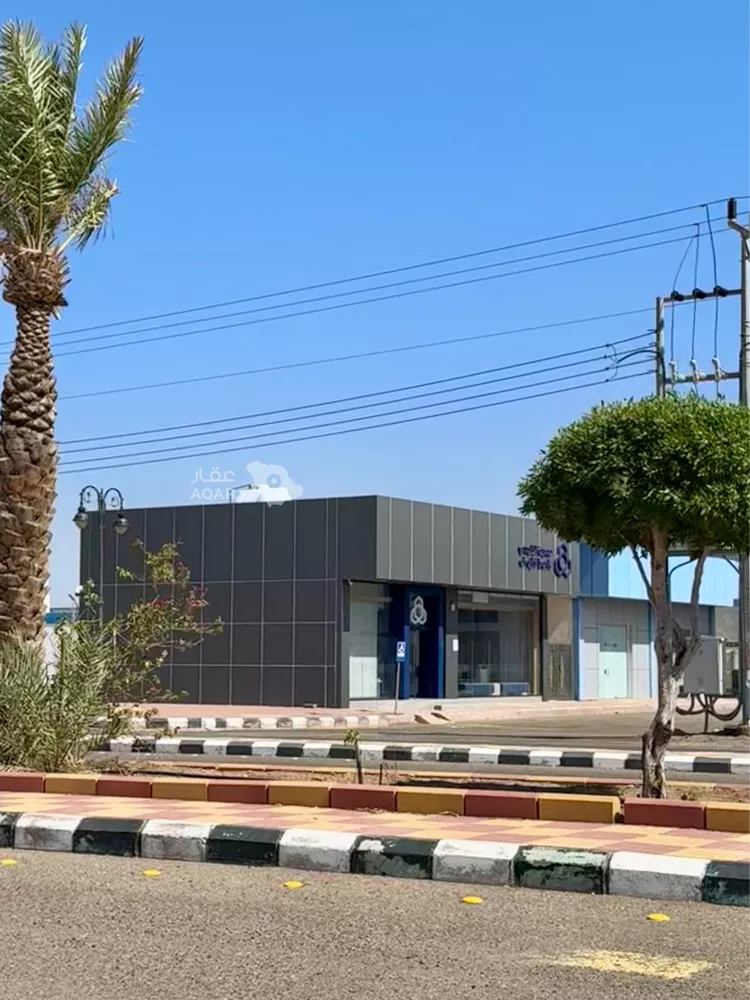 أرض للبيع في حي مخطط وادي الفرع, مدينة وادي الفرع, منطقة المدينة المنورة 6
