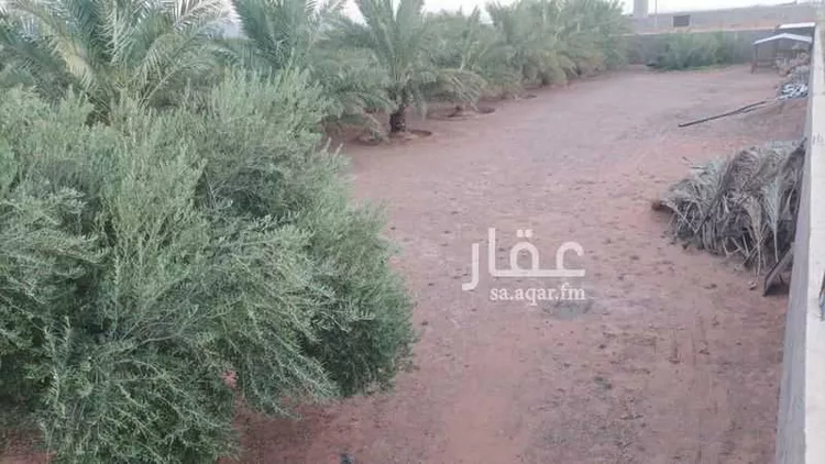 مزرعة للبيع في شارع المزيريرات 648 ، التربية ، منطقة حائل صورة 3