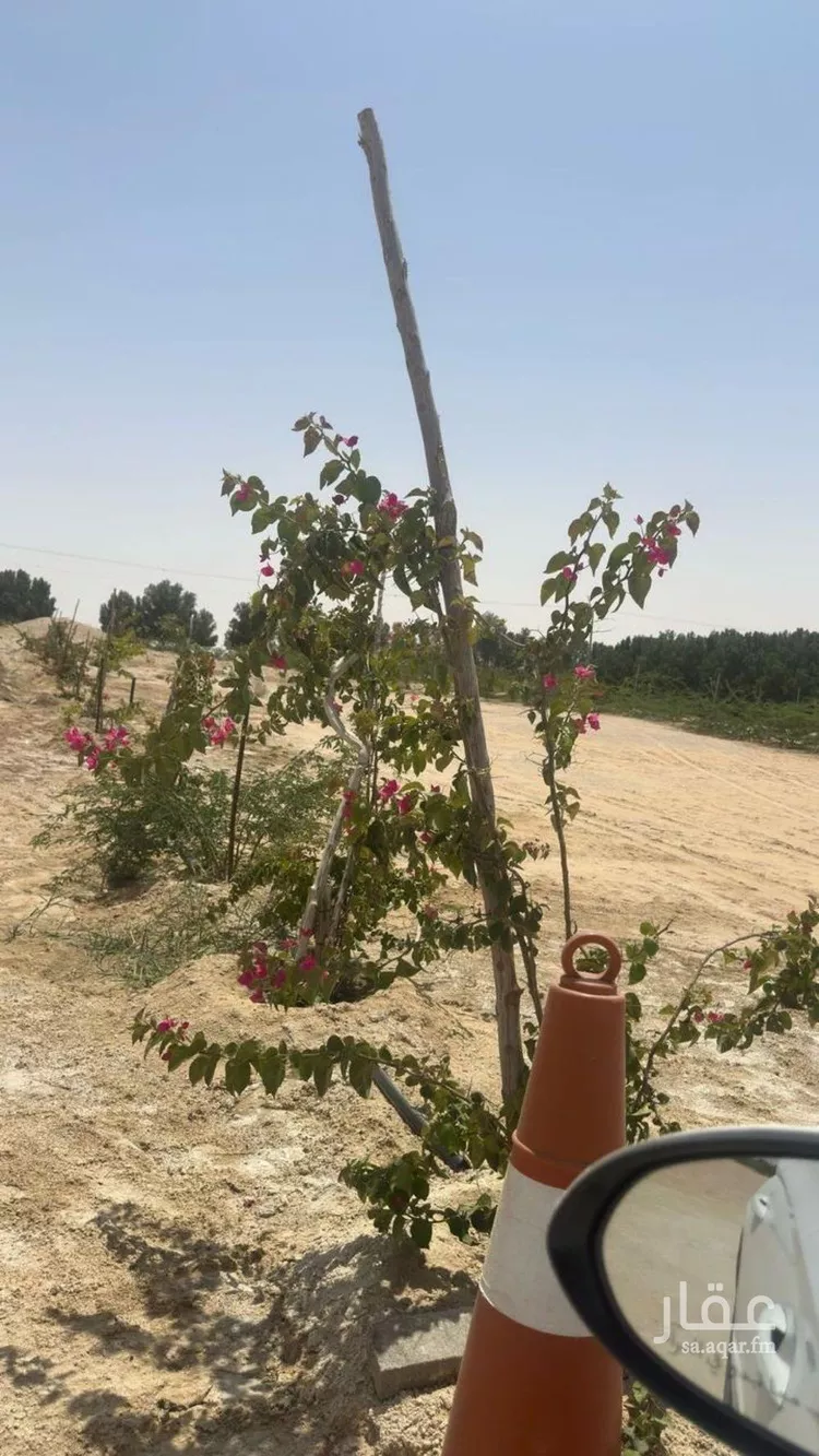 مزرعة للبيع في مدينة بقيق, المنطقة الشرقية صورة 3