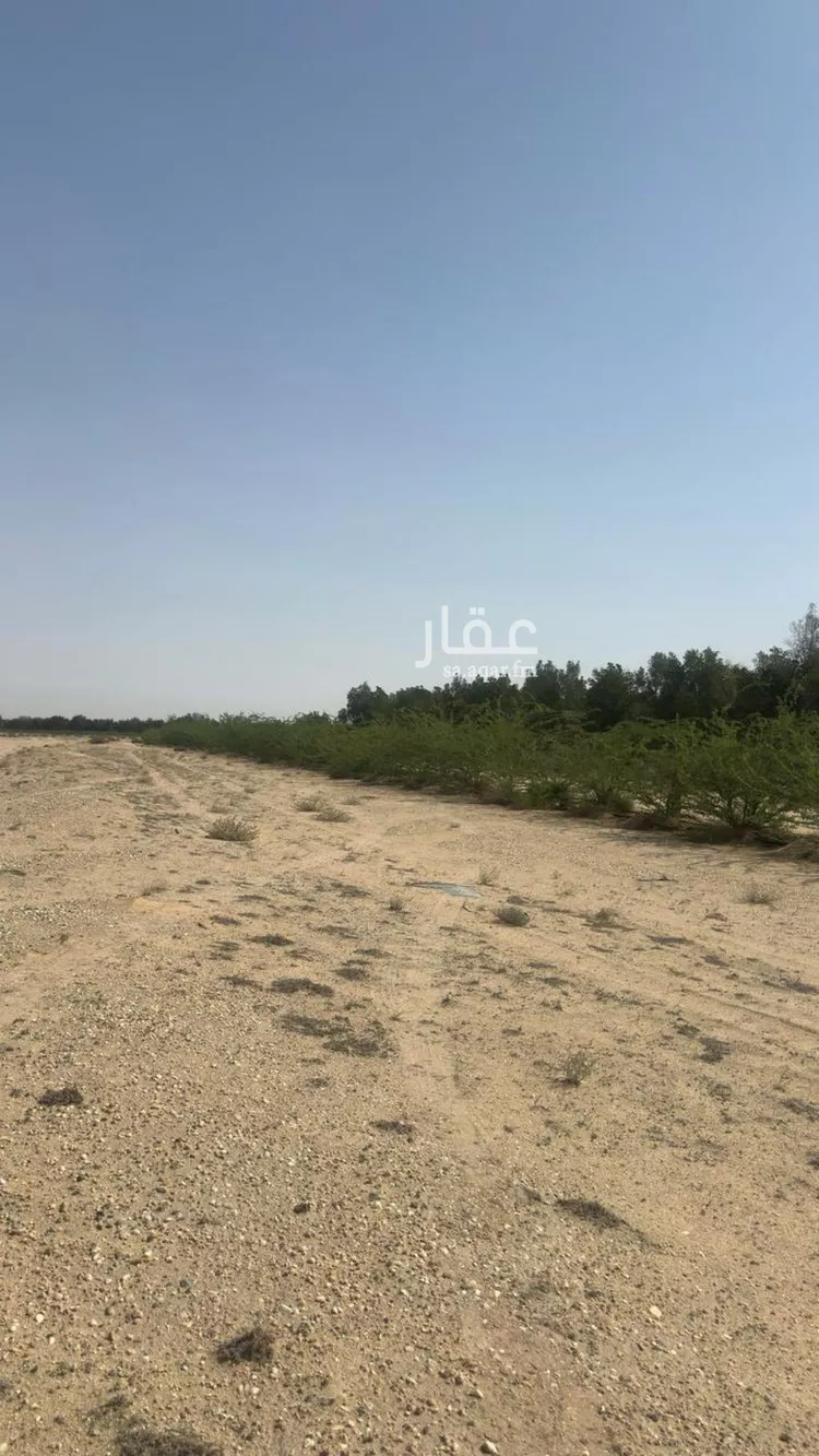 مزرعة للبيع في مدينة بقيق, المنطقة الشرقية صورة 5