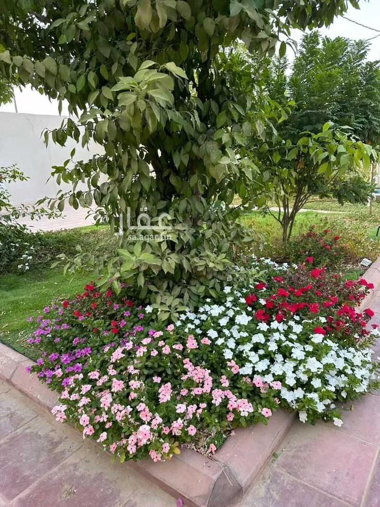 Rest House for Sale in Riyadh Banban صورة 2