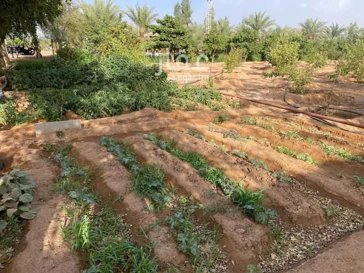 مزرعة للبيع في شارع مكة, حي العليا, مدينة الجلة, منطقة الرياض صورة 4