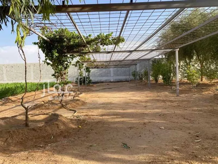 مزرعة للبيع في شارع مكة, حي العليا, مدينة الجلة, منطقة الرياض 15