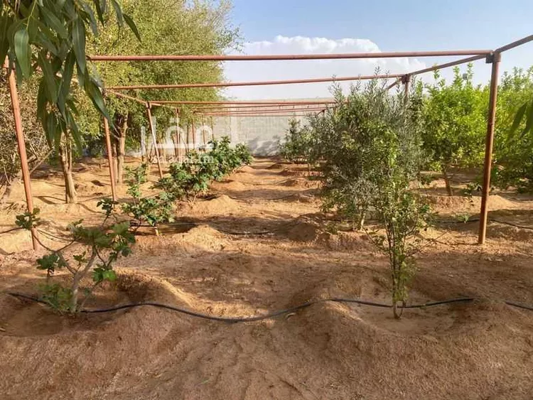 مزرعة للبيع في شارع مكة, حي العليا, مدينة الجلة, منطقة الرياض صورة 5