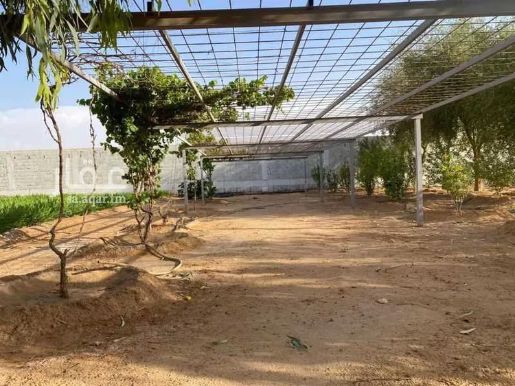 مزرعة للبيع في شارع مكة, حي العليا, مدينة الجلة, منطقة الرياض 21