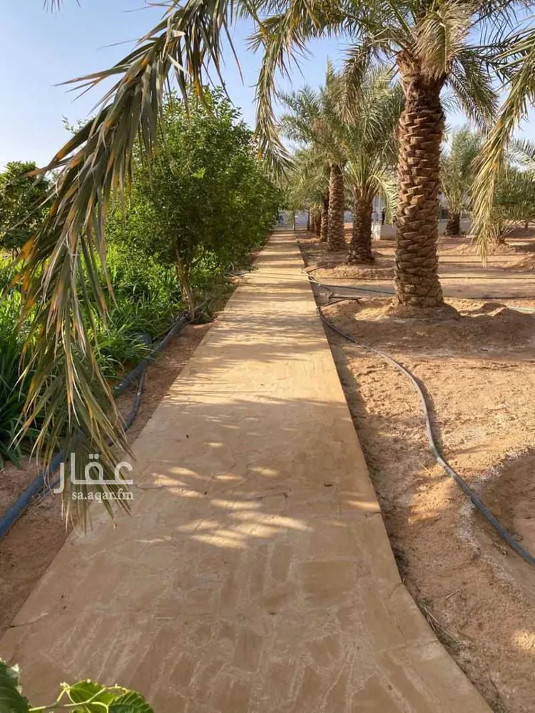 مزرعة للبيع في شارع مكة, حي العليا, مدينة الجلة, منطقة الرياض 23