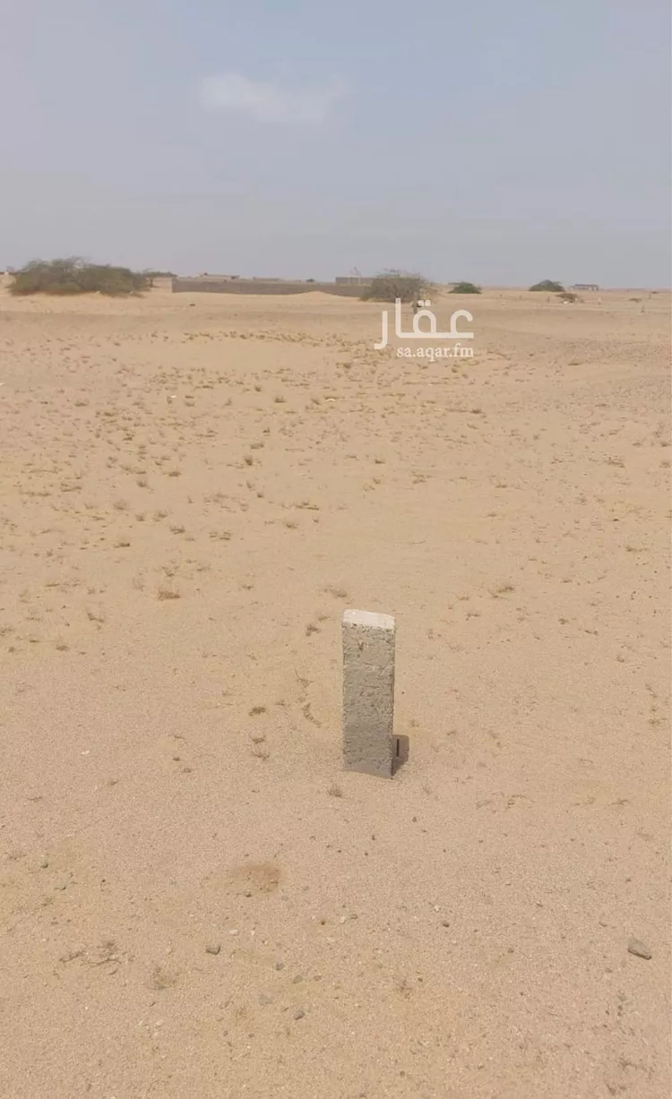 أرض للبيع في شارع وهيب بن عمير, حي الجزيرة, مدينة جدة, منطقة مكة المكرمة
