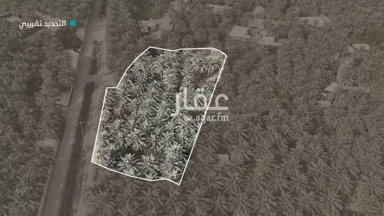 مزرعة للبيع في شارع عبد اللطيف عطية ، حي السلام الأول ، المبرز ، الاحساء