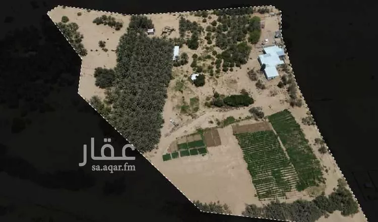 مزرعة للبيع في الفرعة ، رنية