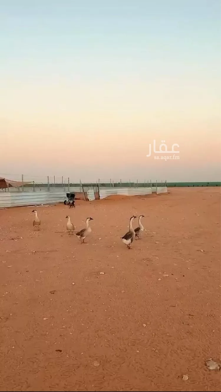 مزرعة للبيع في مدينة الخرج, منطقة الرياض صورة 4