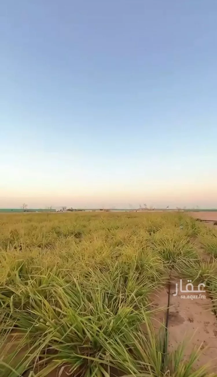 مزرعة للبيع في مدينة الخرج, منطقة الرياض صورة 3