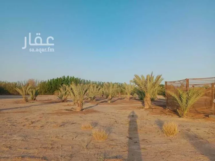 مزرعة للبيع في مستورة
