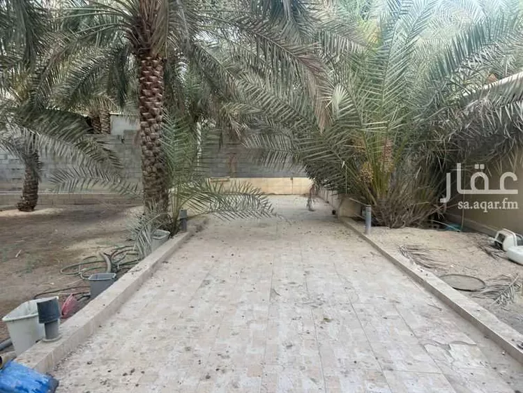مزرعة للبيع في شارع اللويمي 23 ، حي اللويمي ، الهفوف‎ ، الاحساء صورة 3