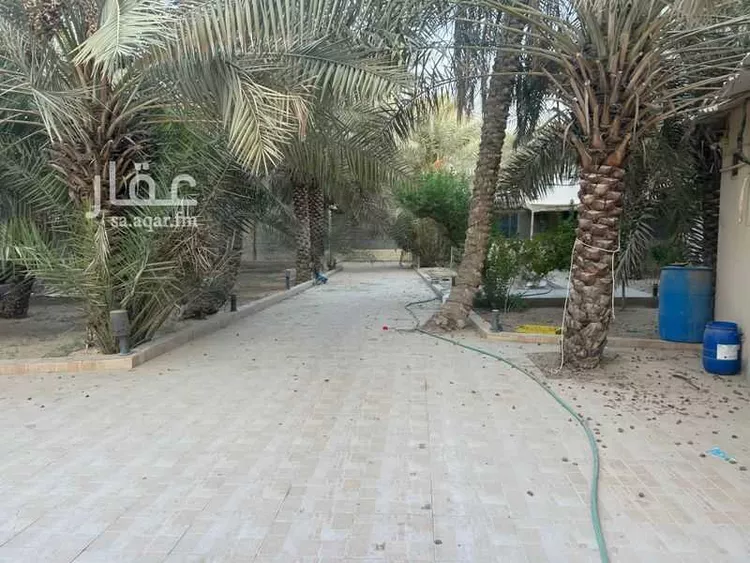 مزرعة للبيع في شارع اللويمي 23 ، حي اللويمي ، الهفوف‎ ، الاحساء صورة 2