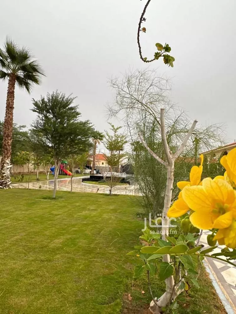 مزرعة للبيع في شارع مزدلفه, حي العفجه, مدينة الخرج, منطقة الرياض صورة 5