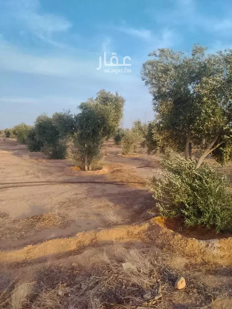 مزرعة للبيع في شارع الحناك, مدينة رفحاء, منطقة الحدود الشماليه صورة 3