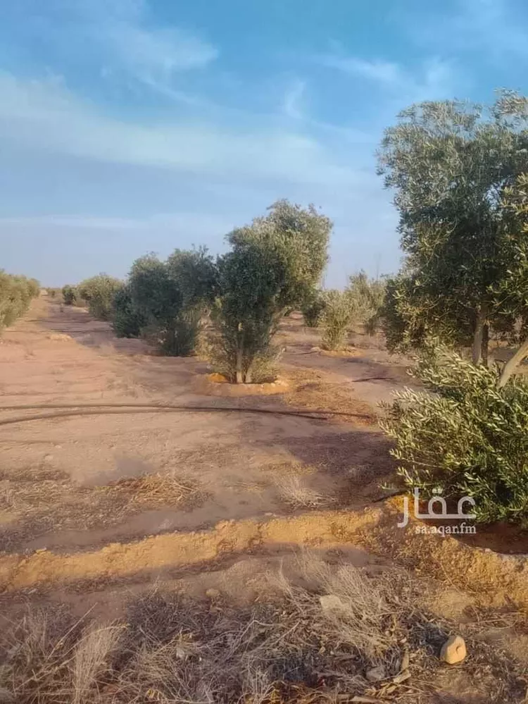 مزرعة للبيع في شارع الحناك, مدينة رفحاء, منطقة الحدود الشماليه صورة 4