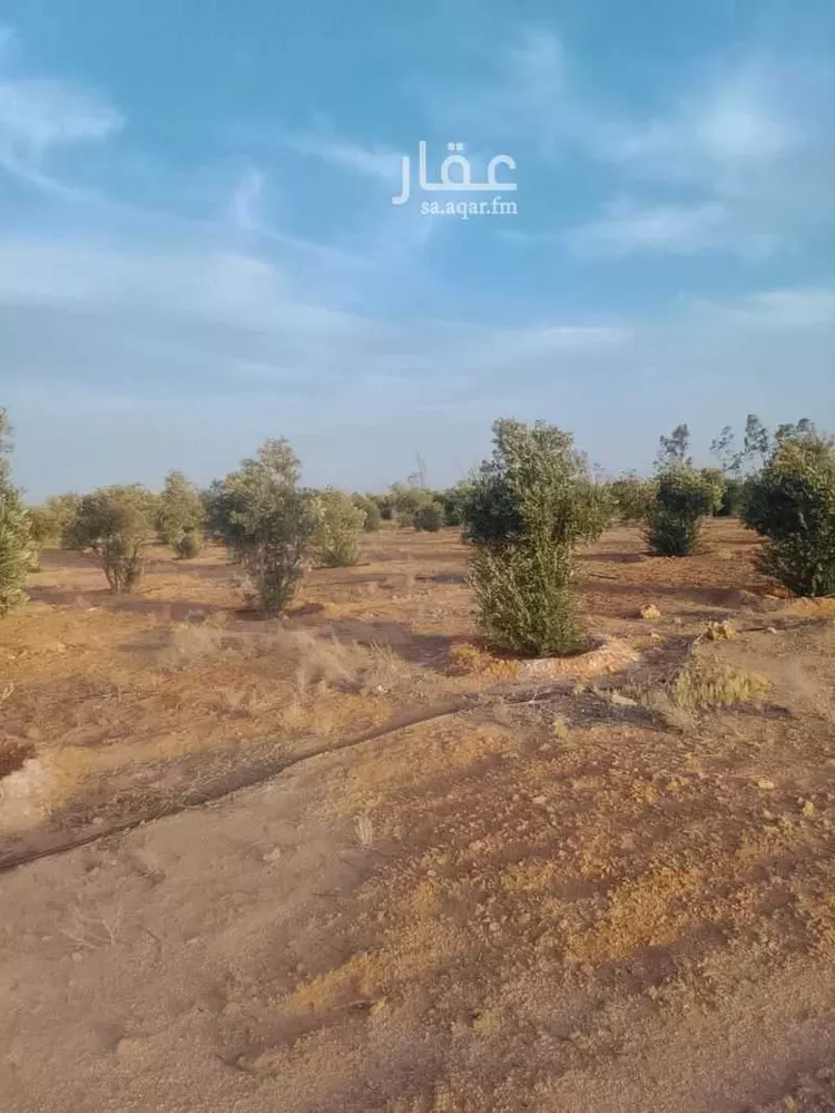 مزرعة للبيع في شارع الحناك, مدينة رفحاء, منطقة الحدود الشماليه صورة 2