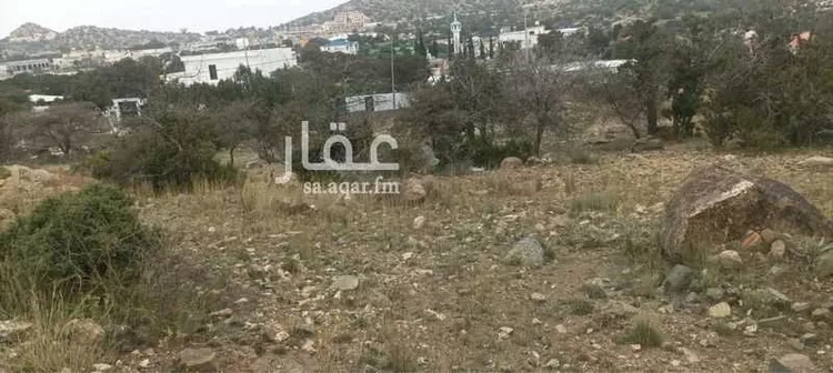 أرض للبيع في شارع الشفا, حي الشفاء, مدينة الطائف, منطقة مكة المكرمة صورة 4