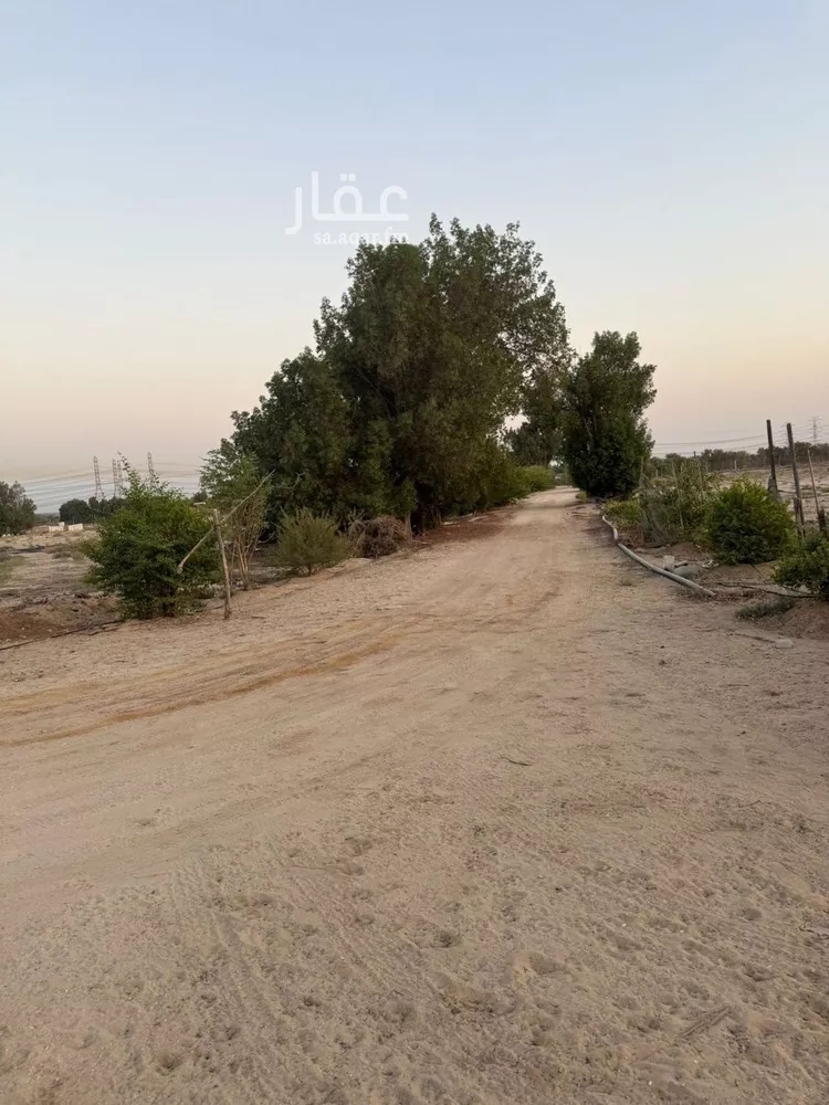 مزرعة للبيع في شارع طريق الدمام الجبيل السريع, مدينة الجبيل, المنطقة الشرقية صورة 3