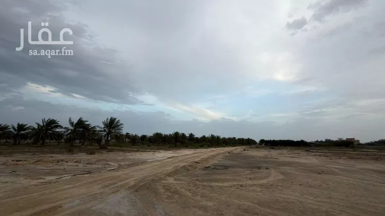 Farm for rent in Safwa Ad Duraydi صورة 4