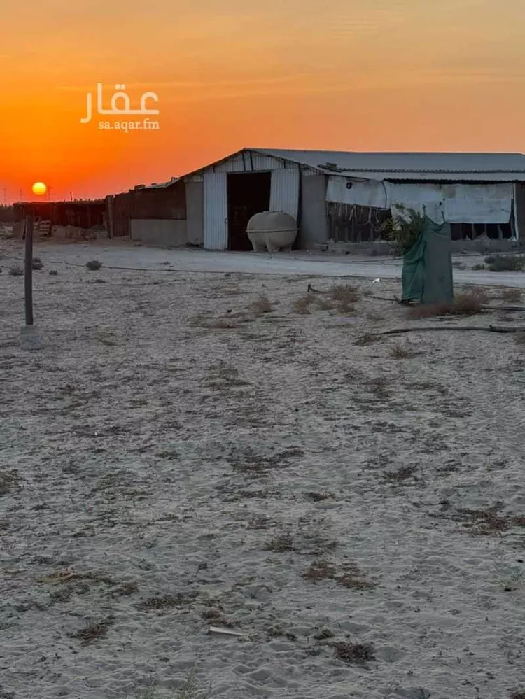مزرعة للبيع في شارع 67865, مدينة الجبيل, المنطقة الشرقية 14