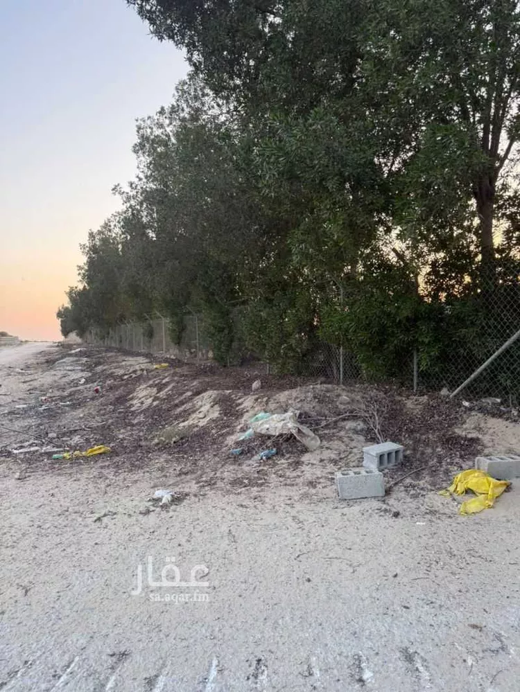 مزرعة للبيع في شارع طريق الدمام الجبيل السريع, مدينة الجبيل, المنطقة الشرقية صورة 5