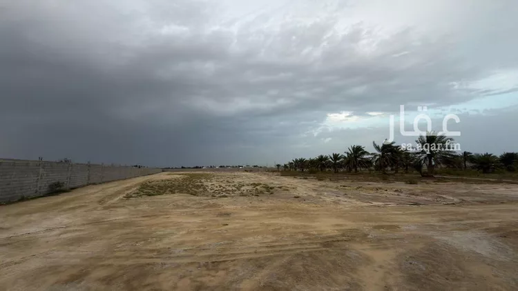 مزرعة للإيجار في حي مزارع الكواكب ومجموعه مزارع, مدينة مزارع الكواكب ومجموعه مزارع, المنطقة الشرقية 6