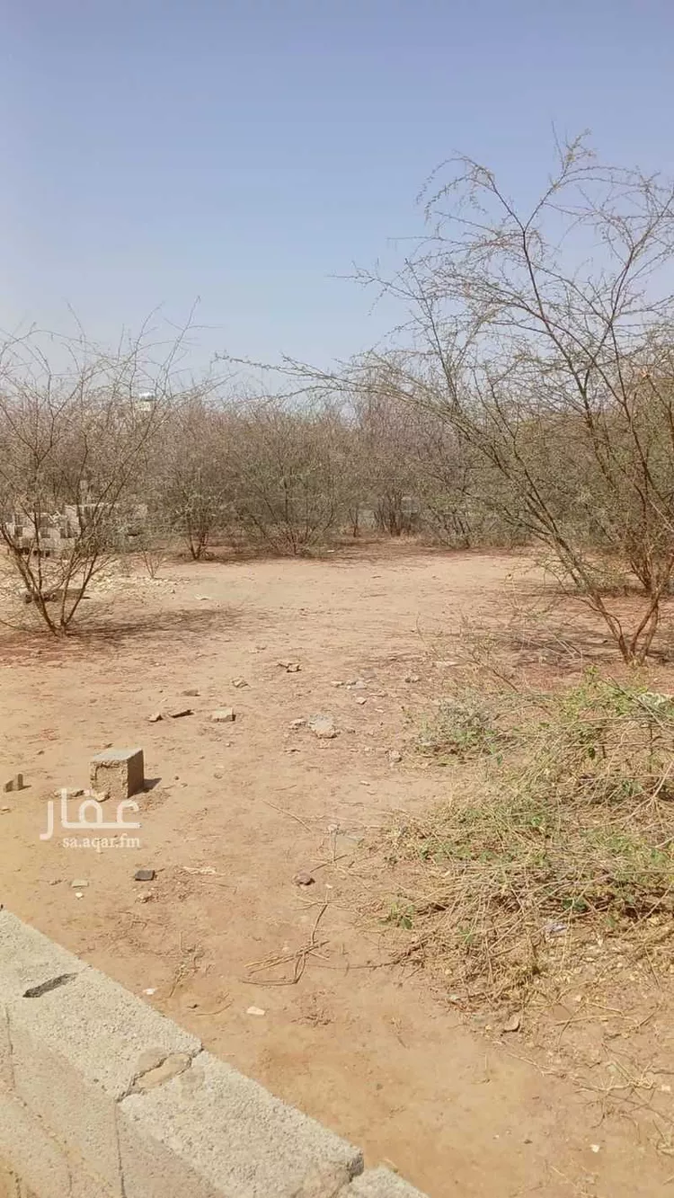 أرض للبيع في شارع حمزة بن عبدالمطلب ، حي النزهة ، محايل عسير ، محايل صورة 3