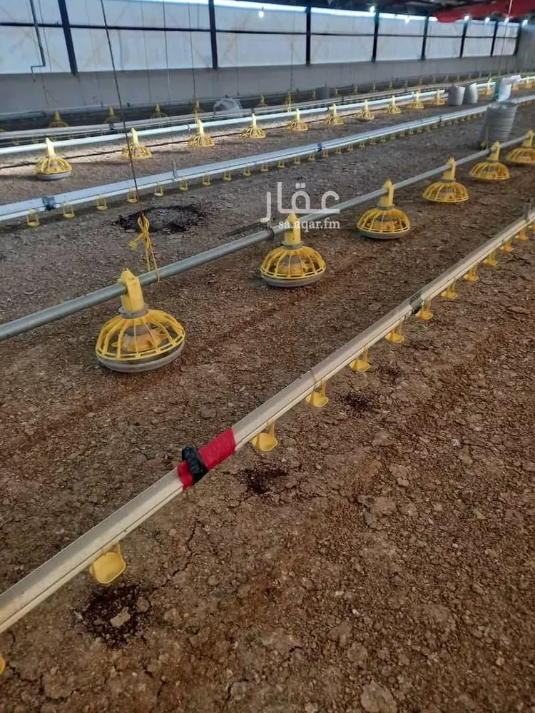 مزرعة للبيع في شارع عمر بن الخطاب, حي شباعة, مدينة خميس مشيط, منطقة عسير صورة 3
