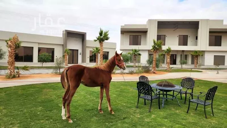 مزرعة للبيع في ثرمداء ، مرات صورة 2