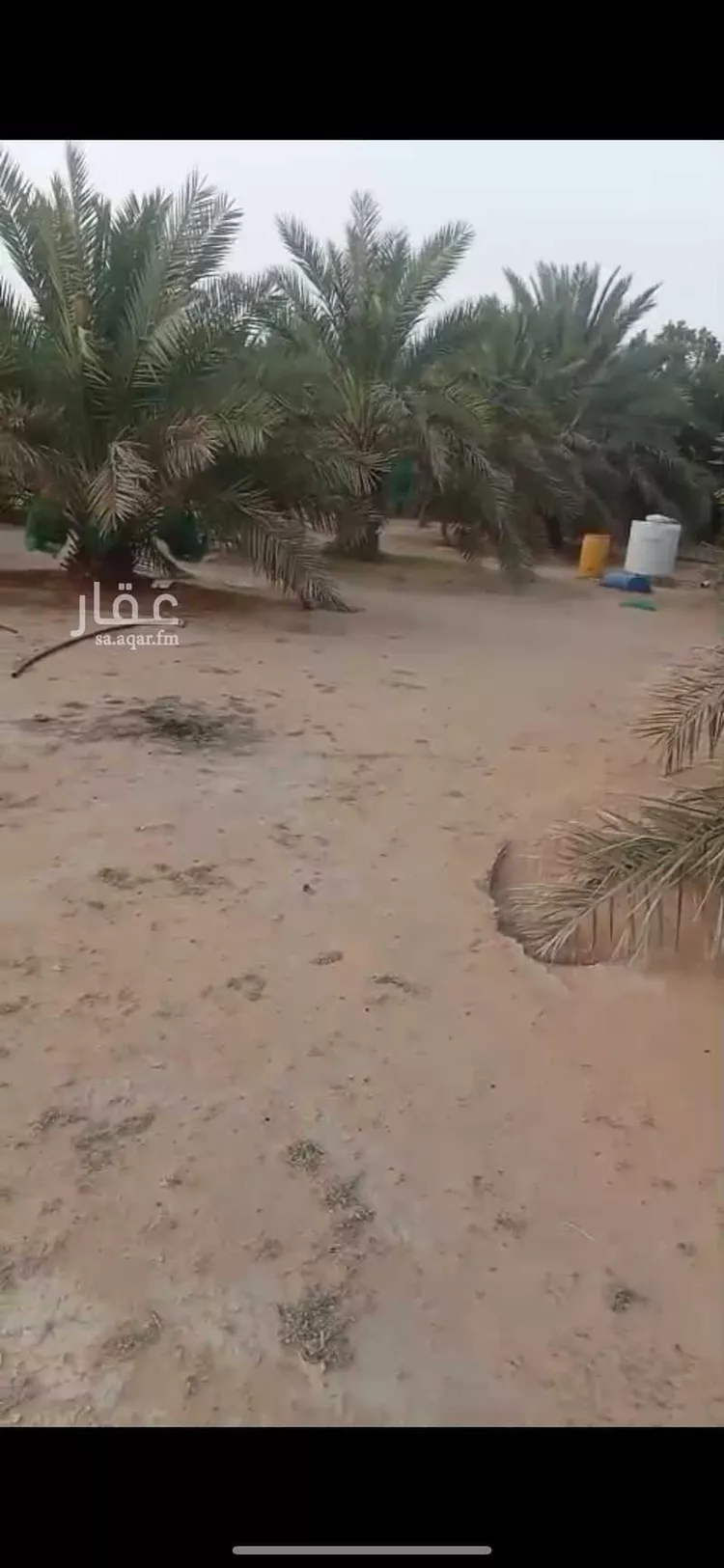 مزرعة للبيع في مدينة الهلالية, منطقة القصيم 7
