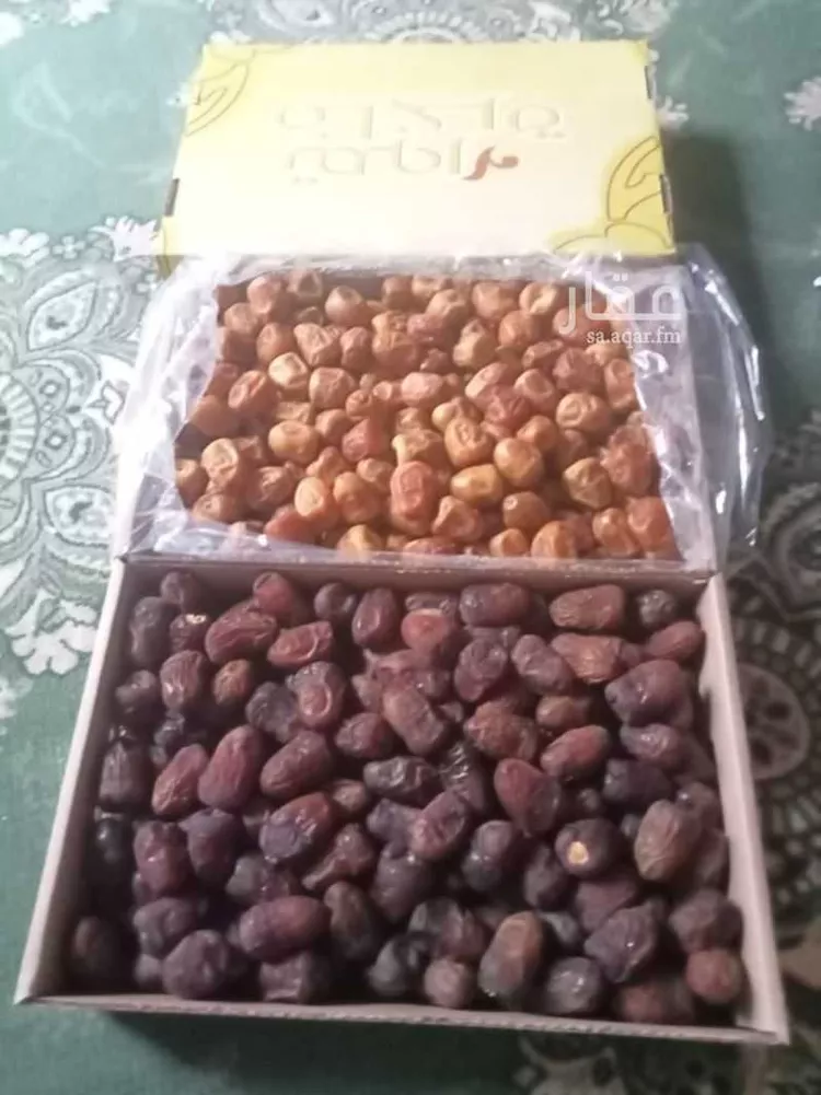 مزرعة للبيع في شارع القصرين ، رياض الخبراء ، بريدة