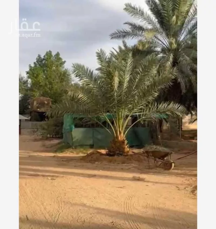 استراحة للبيع في شارع مسلم بن يسار, حي البديع الشرقى, مدينة ضرما, منطقة الرياض صورة 2