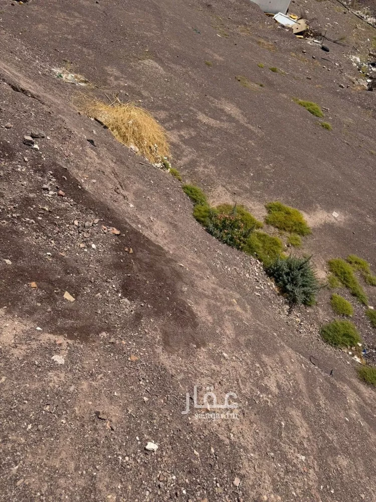 أرض للبيع في شارع احمد بن محمود بن ابراهيم بن نبهان, حي أبوكبير, مدينة المدينة المنورة, منطقة المدينة المنورة صورة 3