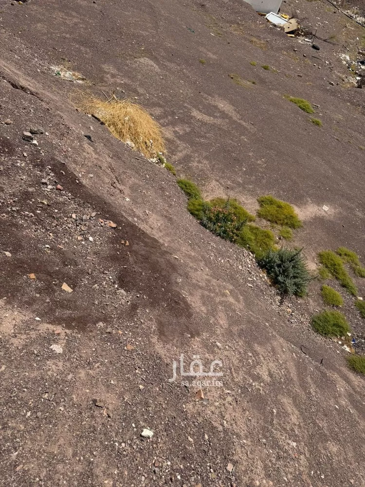 أرض للبيع في شارع احمد بن محمود بن ابراهيم بن نبهان, حي أبوكبير, مدينة المدينة المنورة, منطقة المدينة المنورة صورة 3