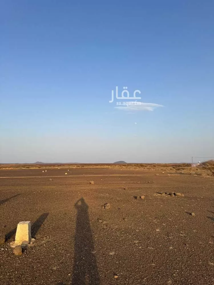 أرض للبيع في حي مخطط وادي  الفرع, مدينة وادي  الفرع, منطقة المدينة المنورة صورة 3